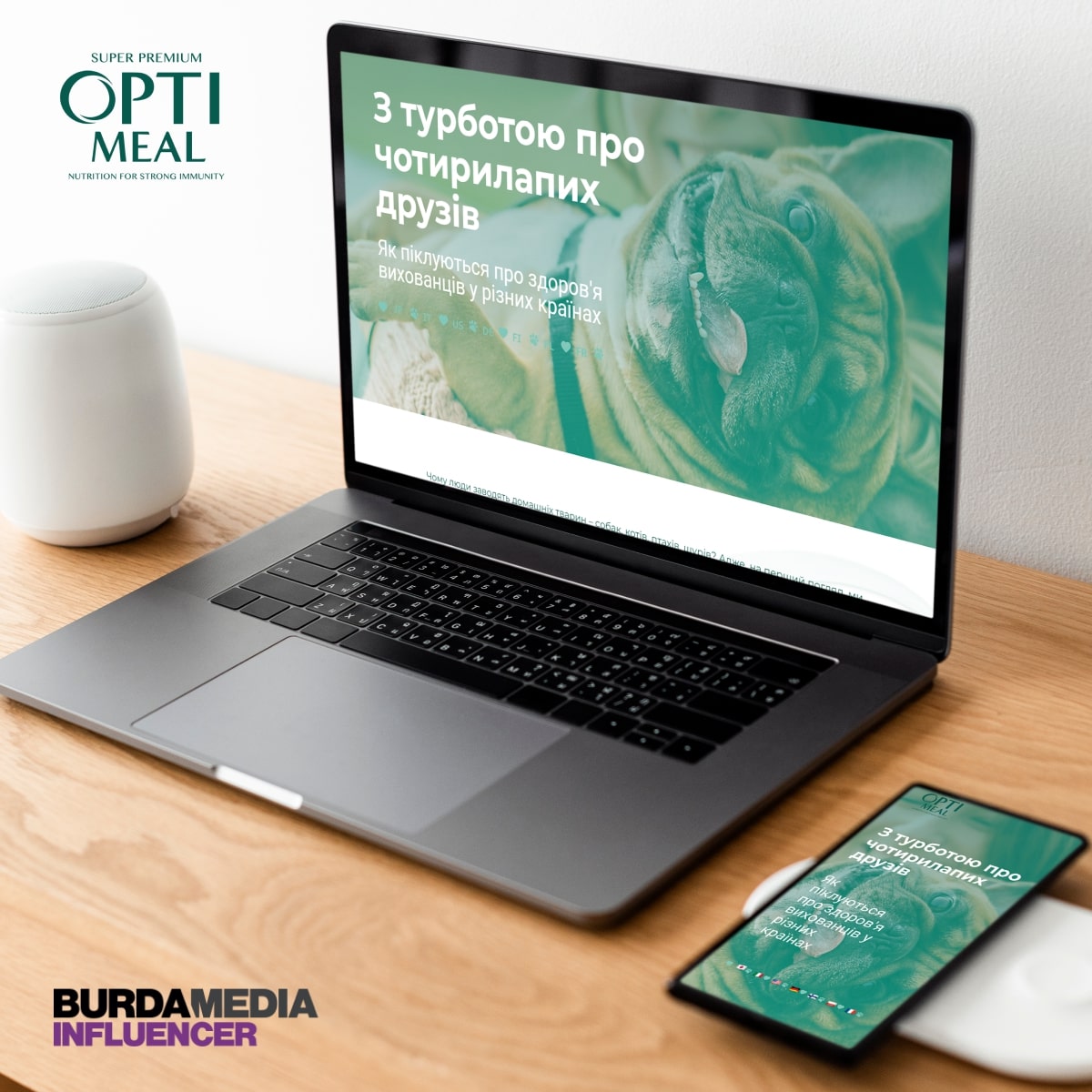 Optimeal: international projects with bloggers (Poland, Romania, Moldova)